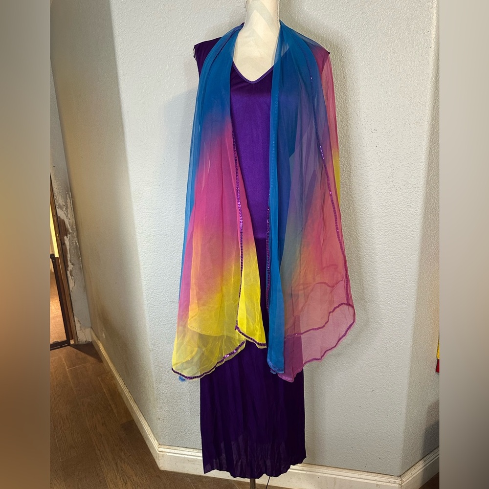 Shimmering Butterfly Costume